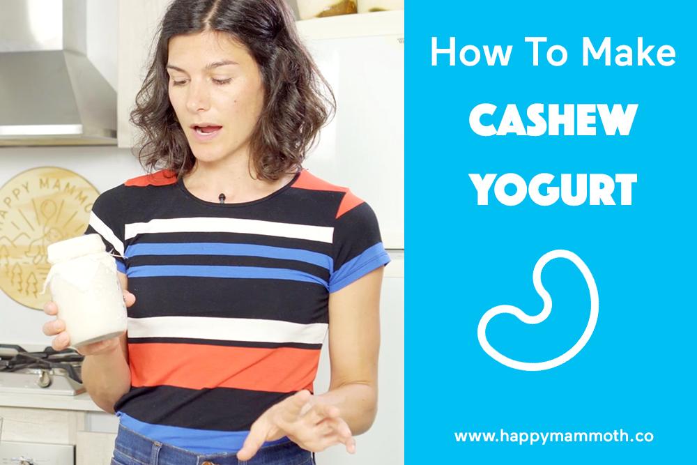 How To Make Cashew Yogurt 8 Steps To Make It Probiotic Rich (2019)How