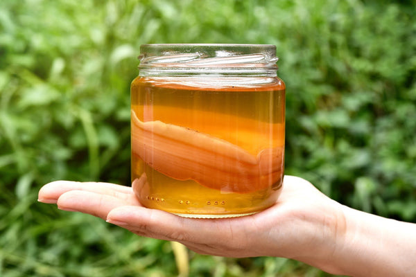 Kombucha Side Effects: What You Need to Know